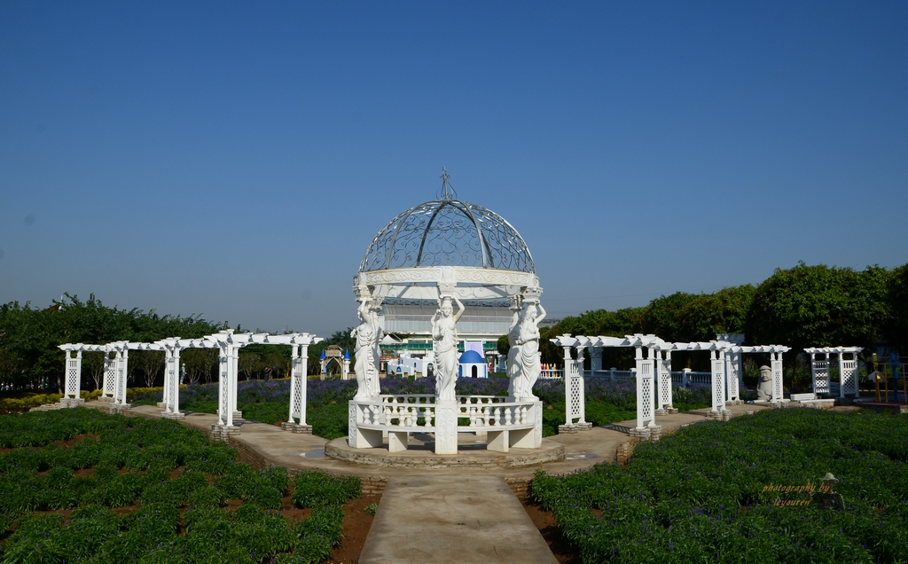 DSC_0703.jpg