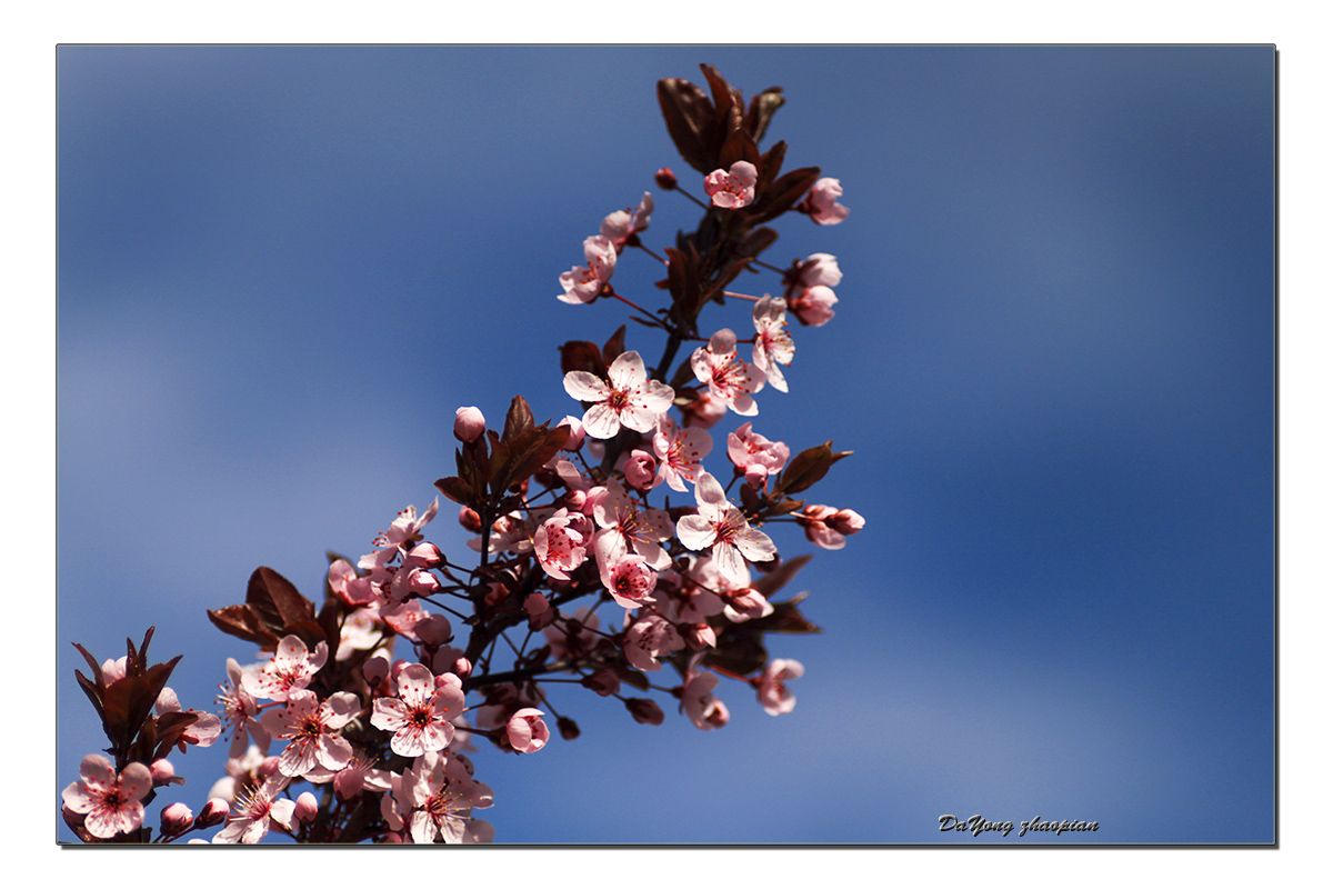IMG_8021-1.jpg