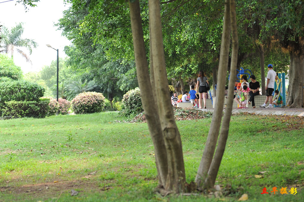 DSC_2917.JPG