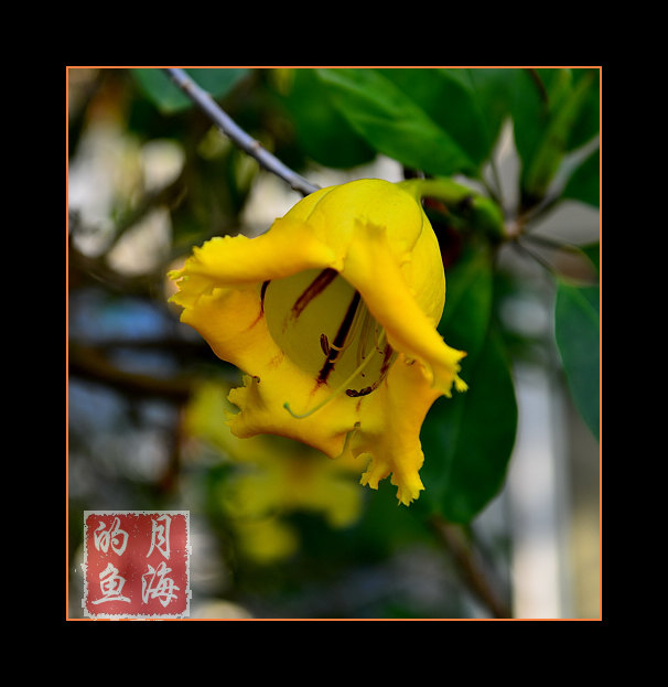 DSC_2417.jpg