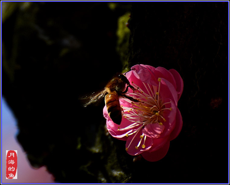 DSC_7519.jpg