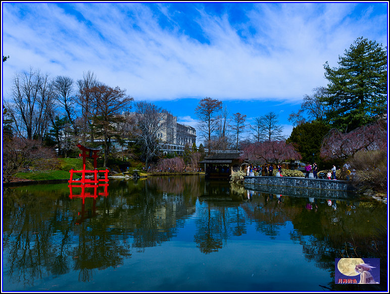 DSC_8599-2.jpg