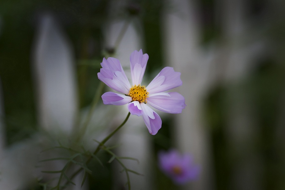 DSC_4876.jpg
