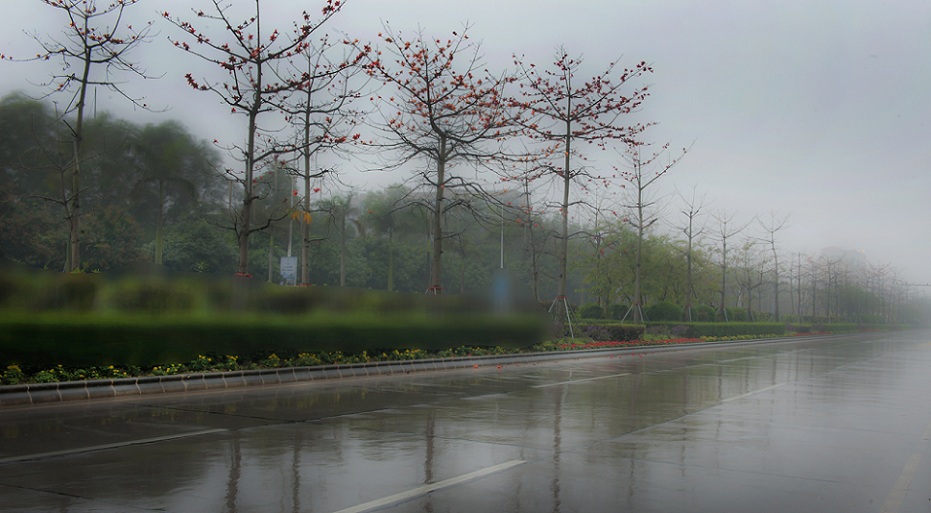 DSC_8983.jpg