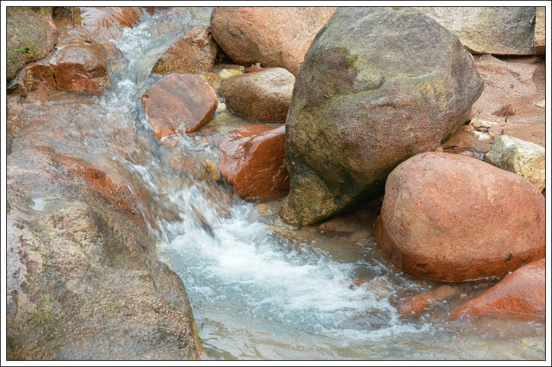 DSC_5682_1.JPG