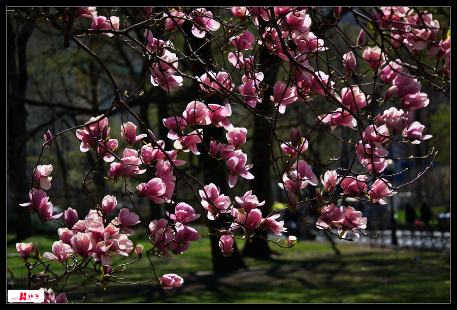DSC_8893_����.jpg