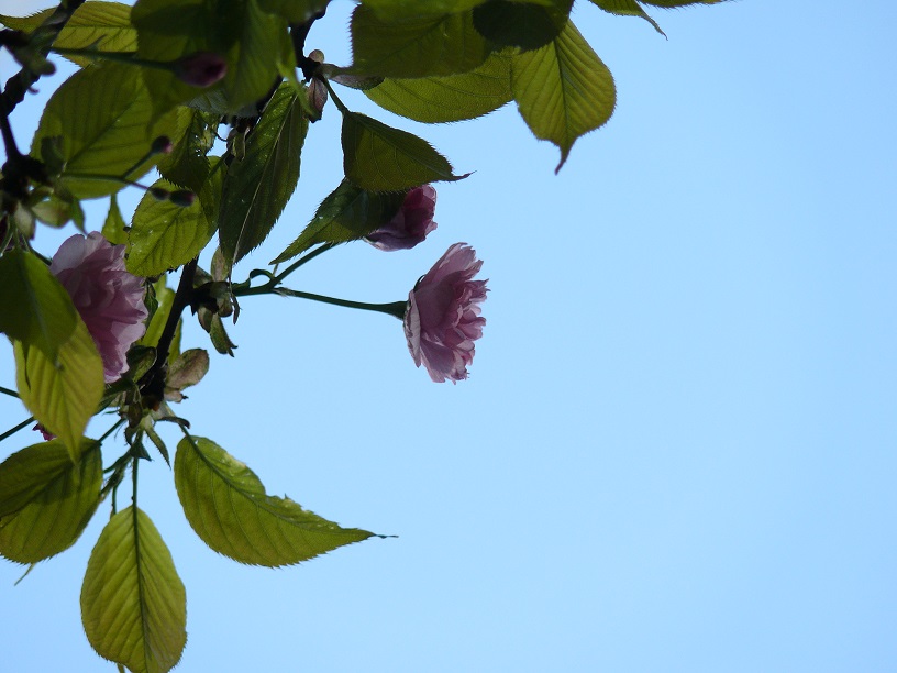 L1450652.JPG