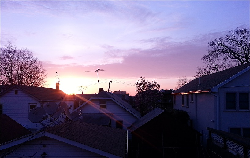 20140422_061849_conew1.jpg