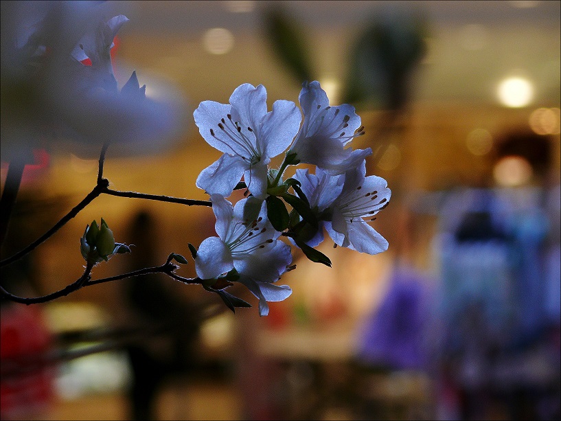 l1410384_conew1.jpg