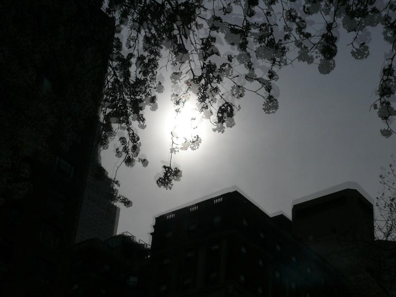 L1430730.JPG