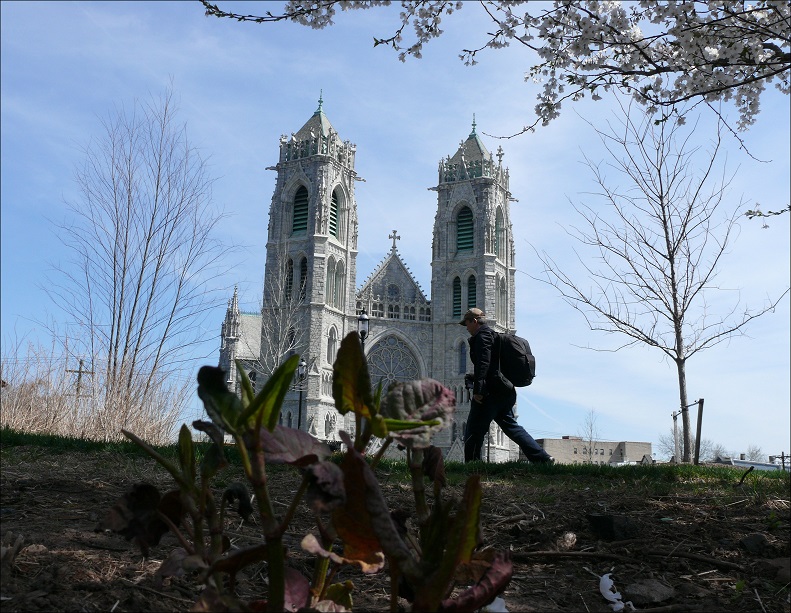 l1440460_conew2.jpg