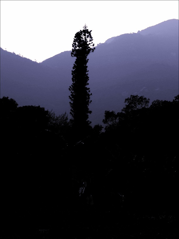 l1180003_conew1.jpg