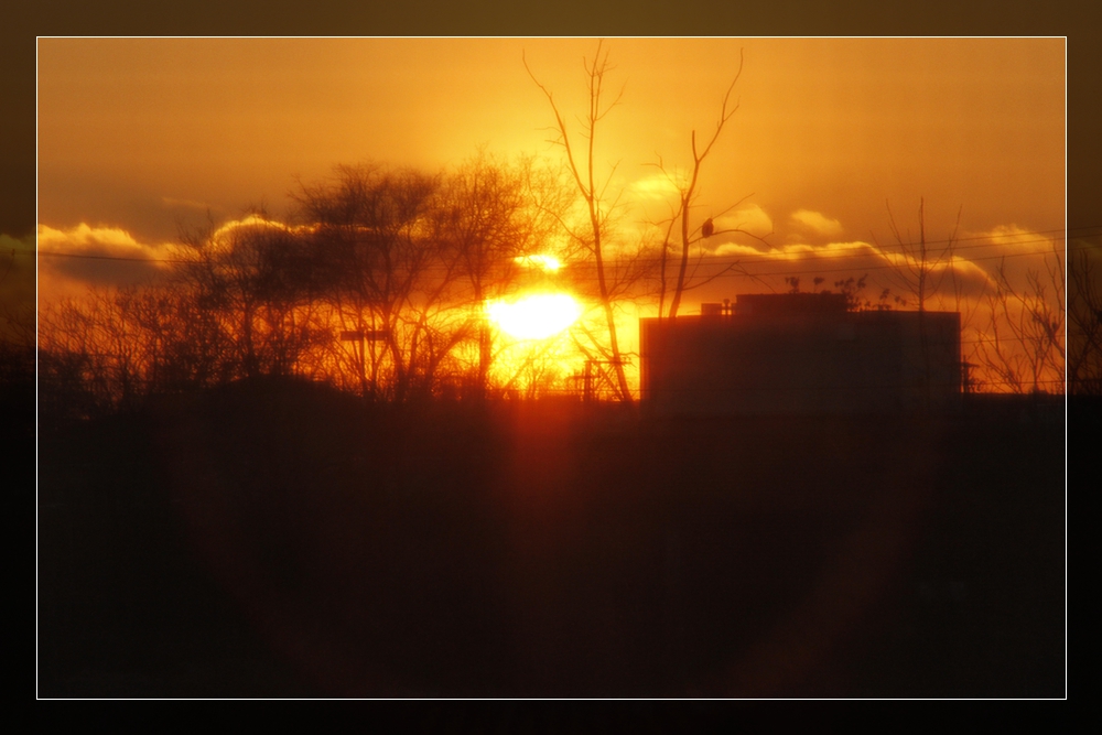 _MG_0006.jpg