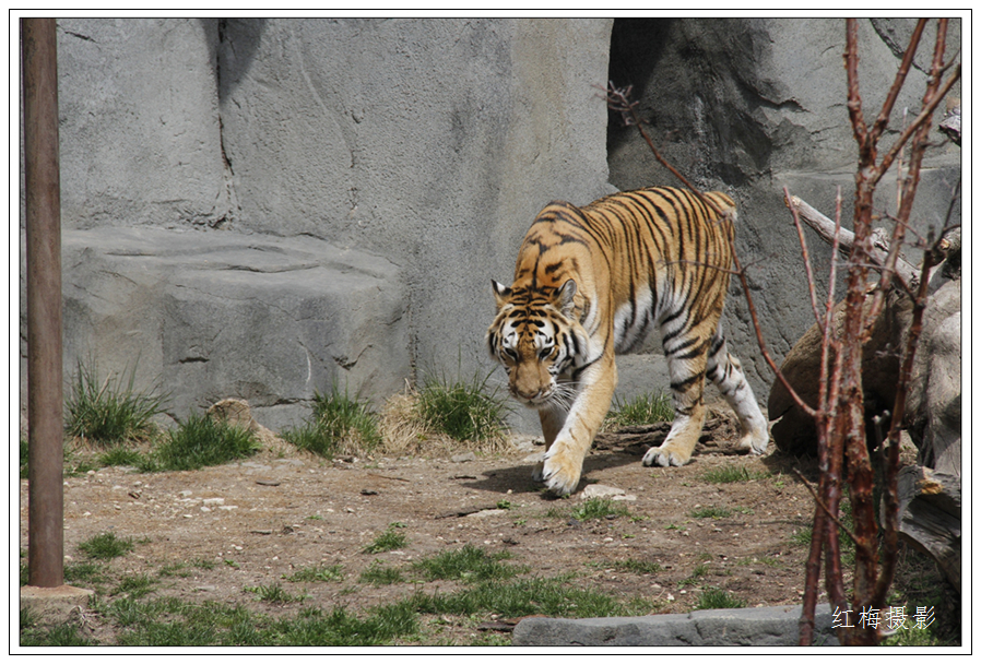 _MG_0069.JPG