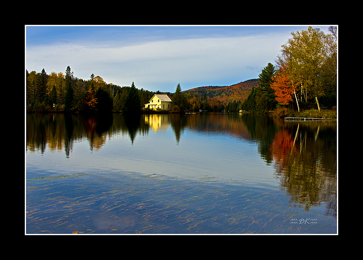 DSC_6279C.jpg