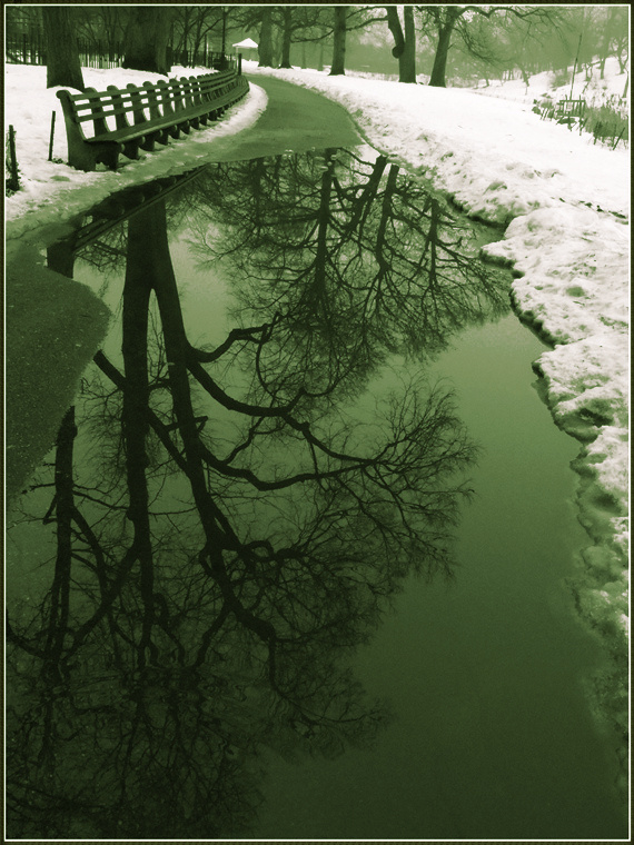 DSCN0474.jpg