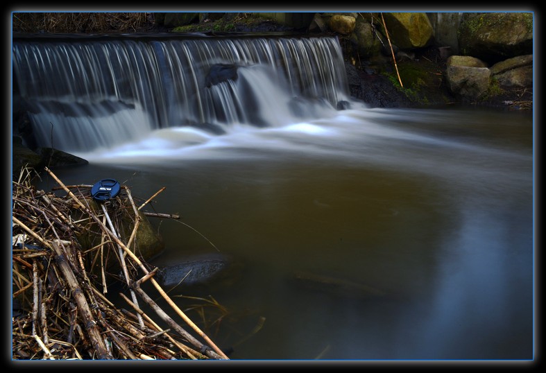 DSC_7950.jpg