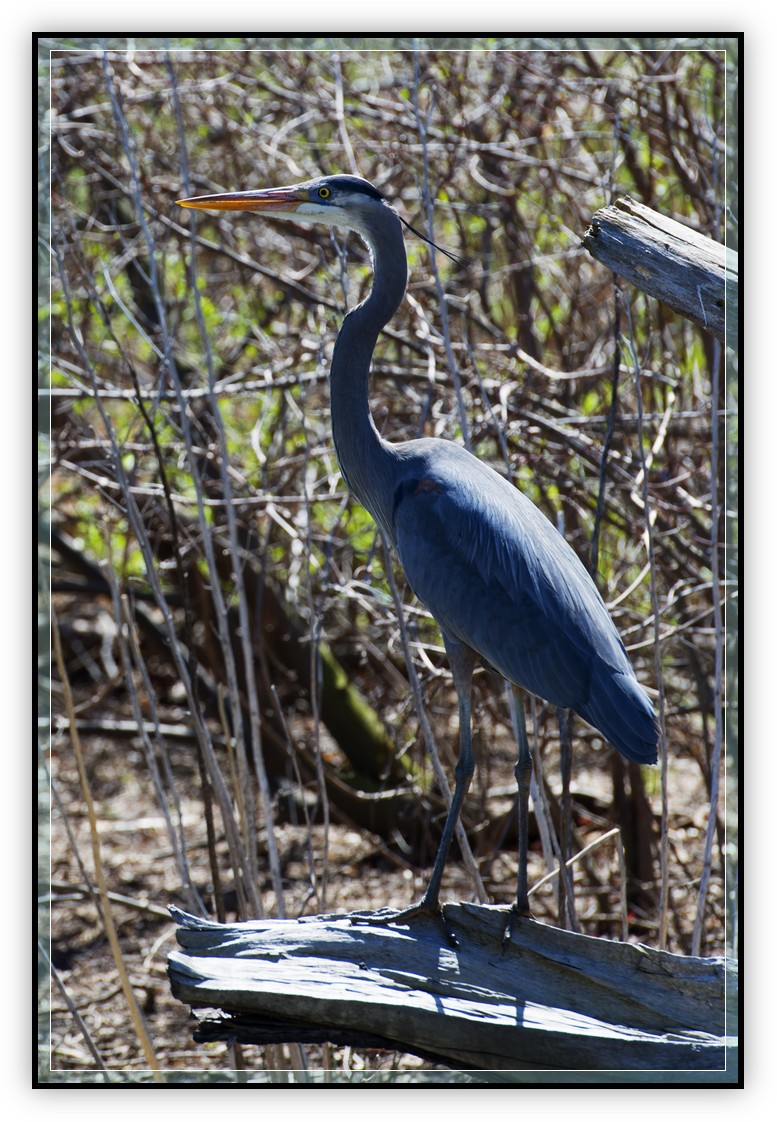 DSC_0846.jpg
