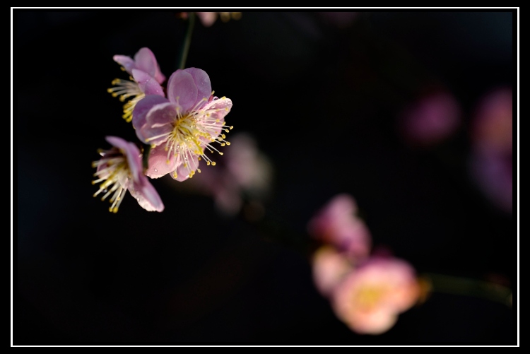 _DSC2031_02_����.jpg