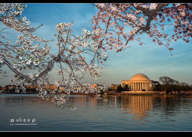 DSC_8882s.jpg