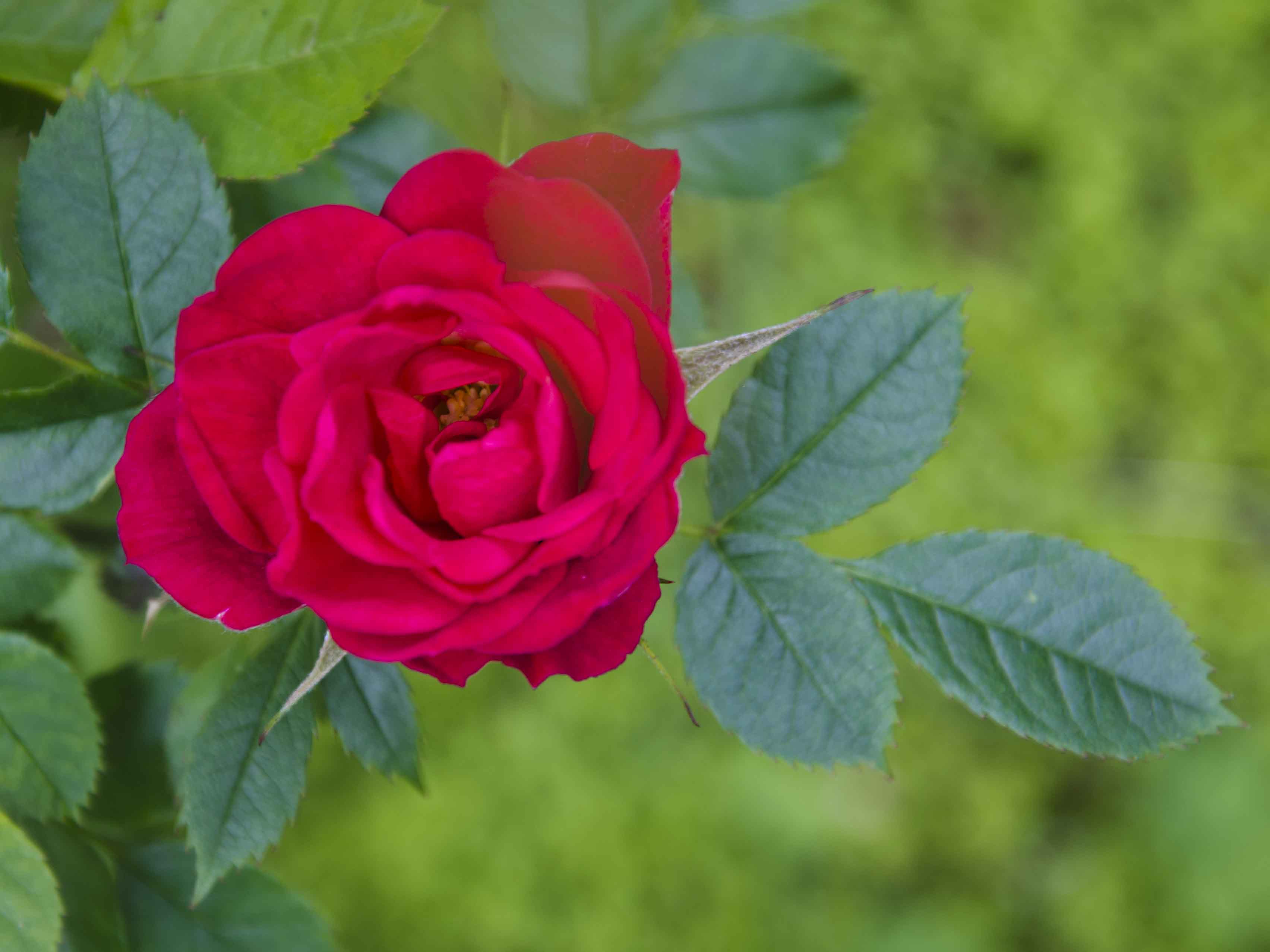 DSC_5822.jpg