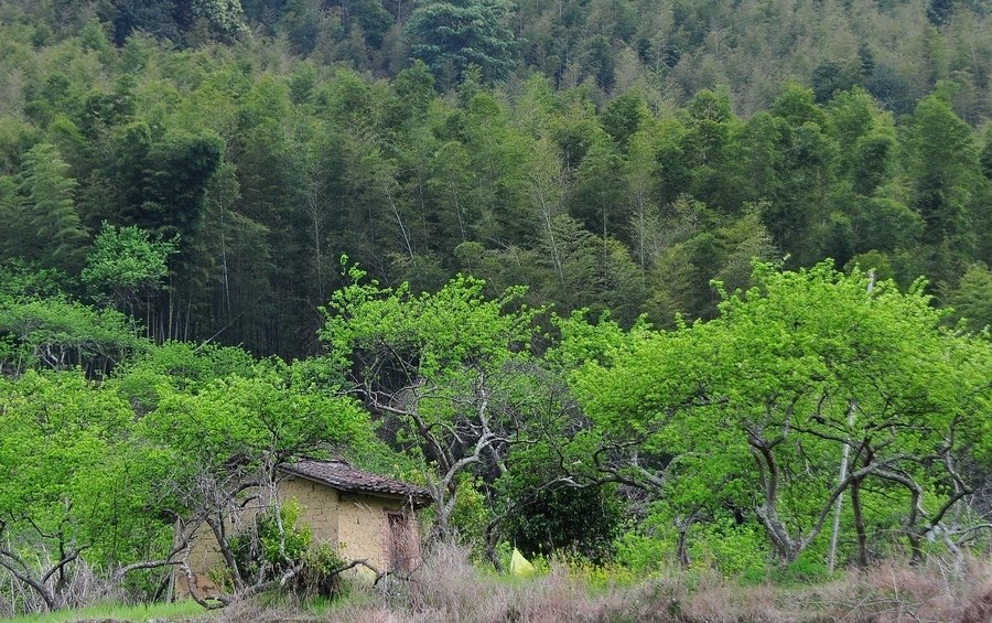 DSC_0923.JPG