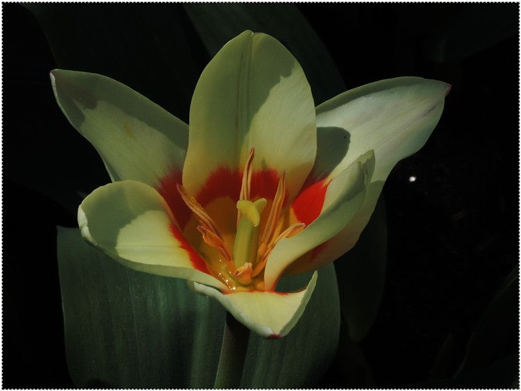 DSCN4900.jpg