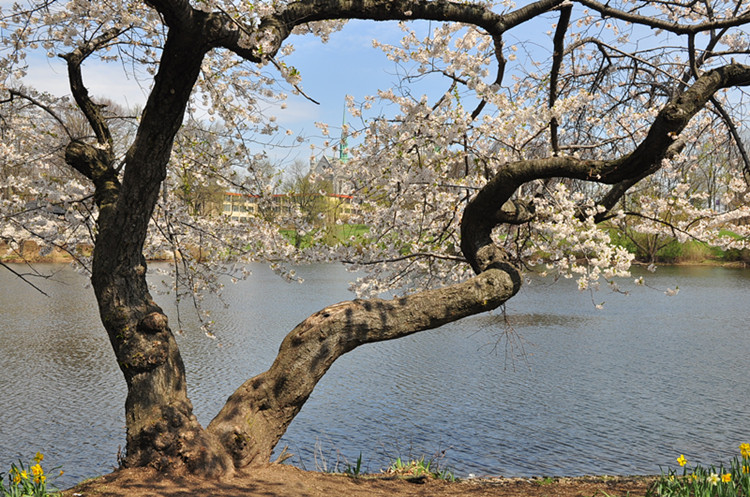 DSC_0784_����.jpg