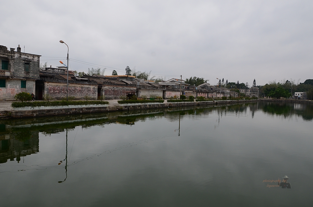 DSC_0245.JPG