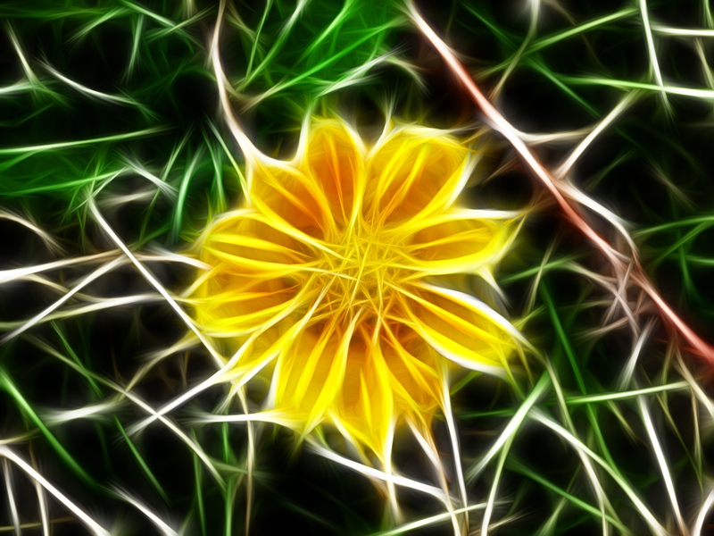 DSCF5840.jpg