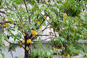 DSC_0114.JPG