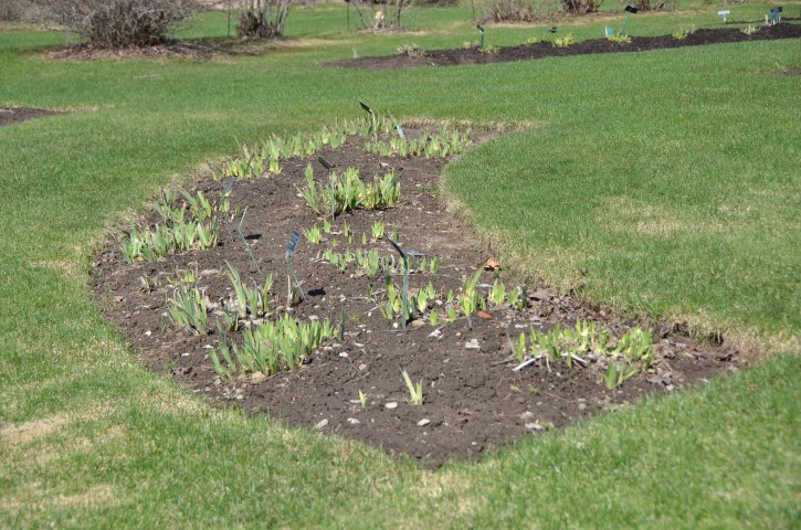 DSC_4014 (Small).JPG