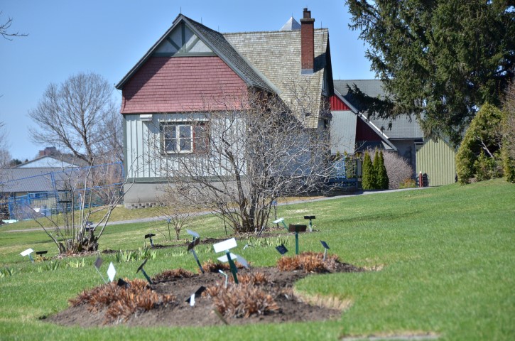 DSC_4019 (Small).JPG