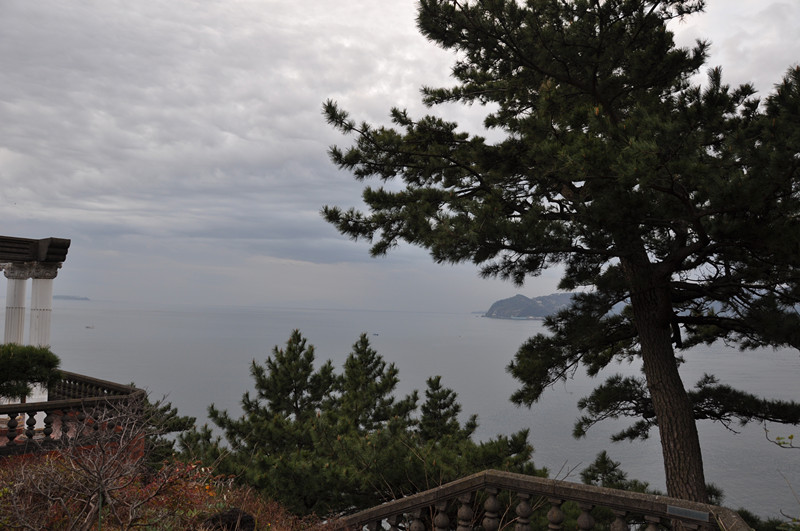 japan&nbsp;&nbsp;travel&nbsp;&nbsp;2010 082_.jpg