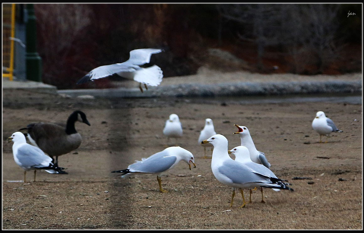 IMG_4872=.jpg