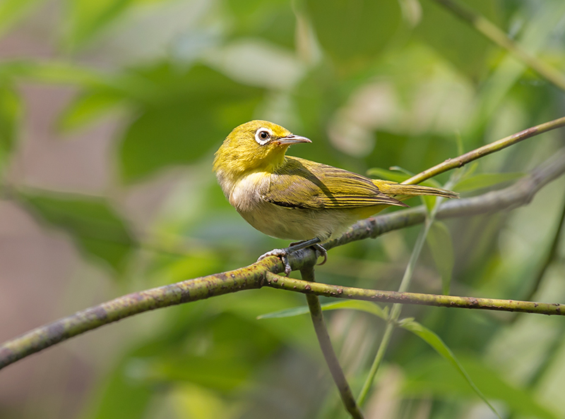 DSC_3281-.jpg