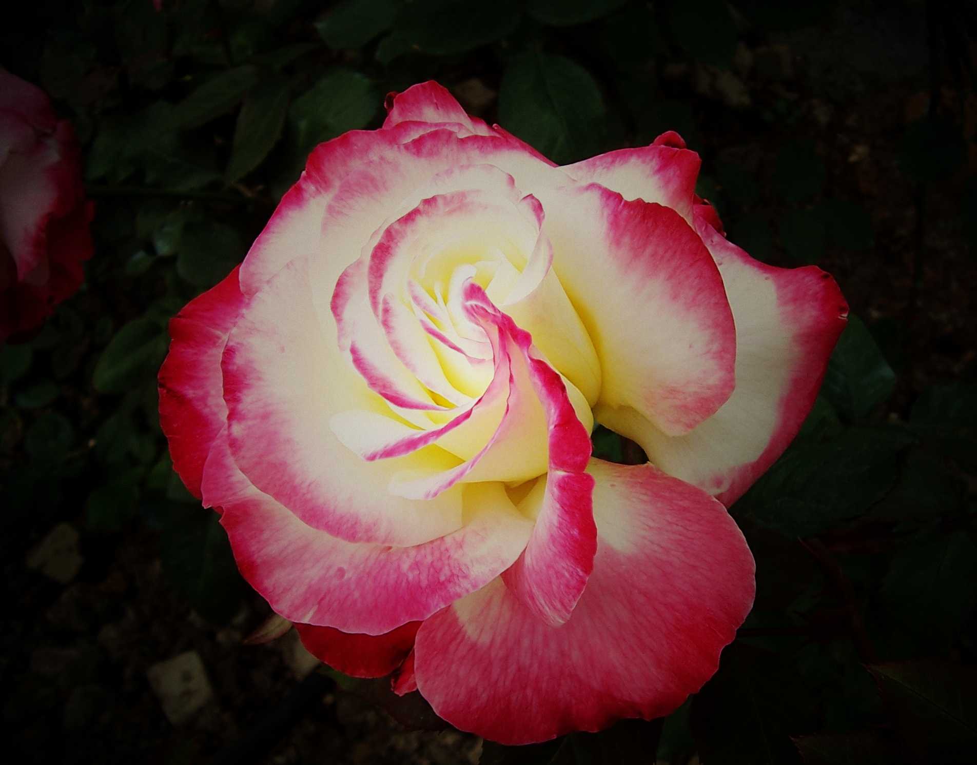 100_8986.JPG