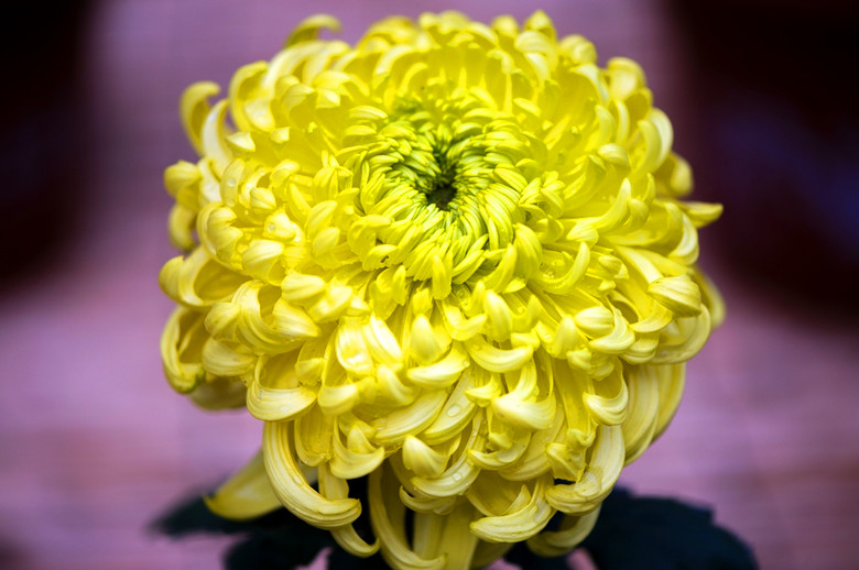 28058760_1500_.jpg