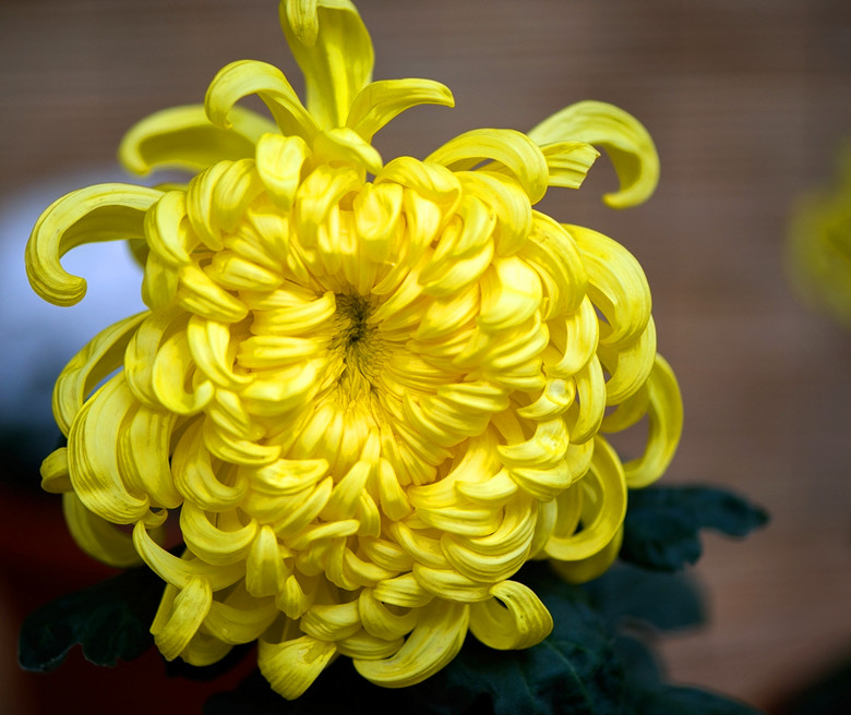 28058755_1500_.jpg