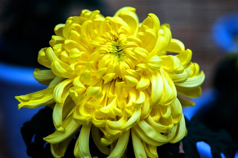 28058756_1500_.jpg