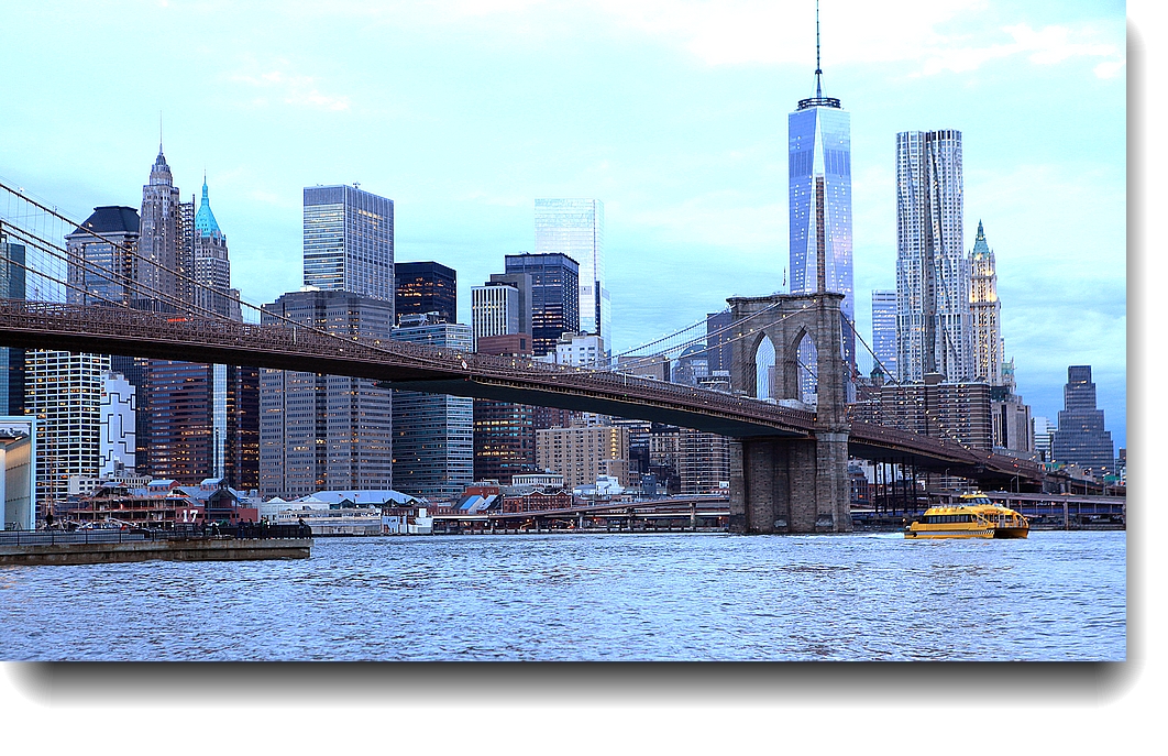 IMG_9733a.jpg