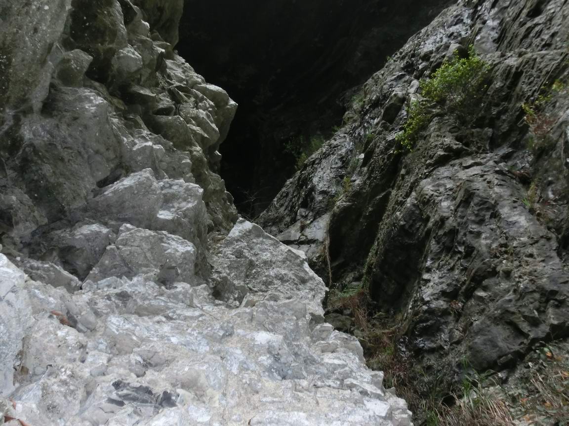 CIMG0225.JPG