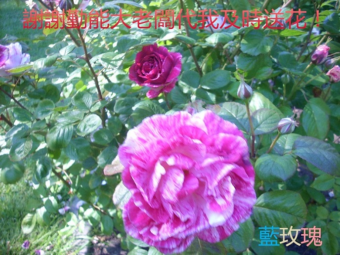 DSCN4631_.jpg