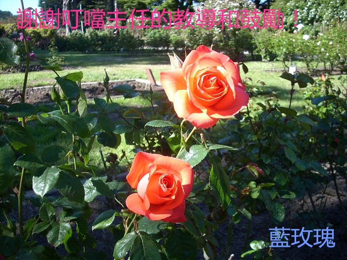 DSCN4644_.jpg