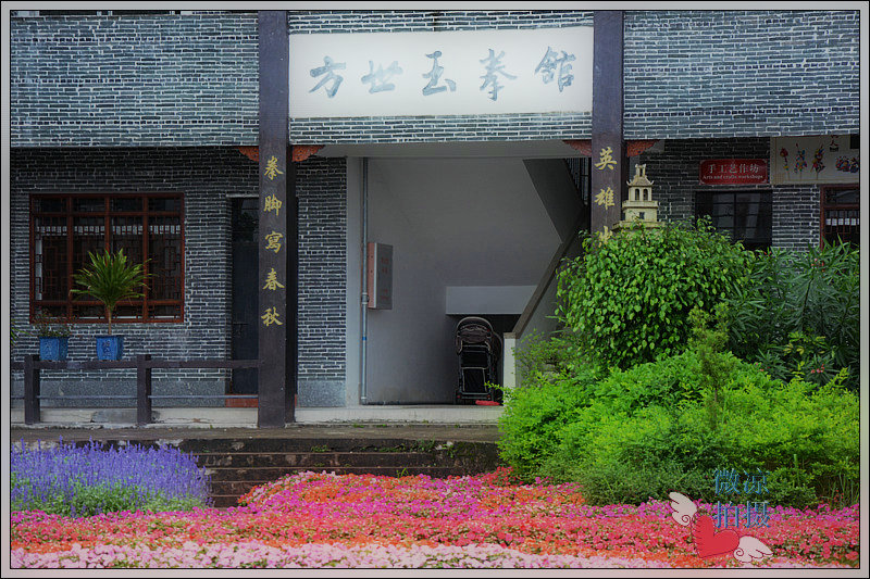 DSC_6212_1_.JPG