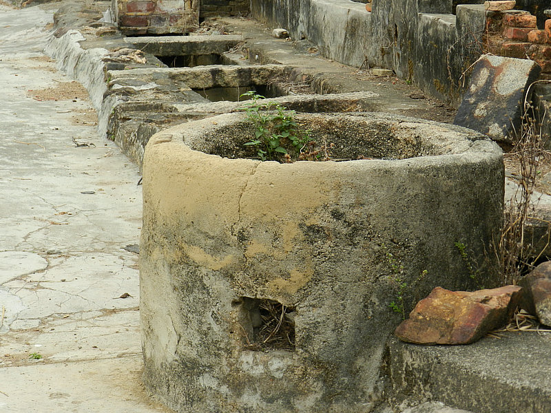 DSCN5510_1.JPG