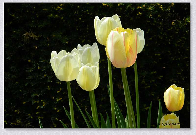 DSCN4572.JPG