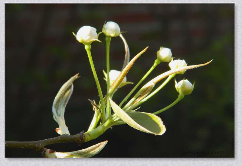 DSCN4537.JPG