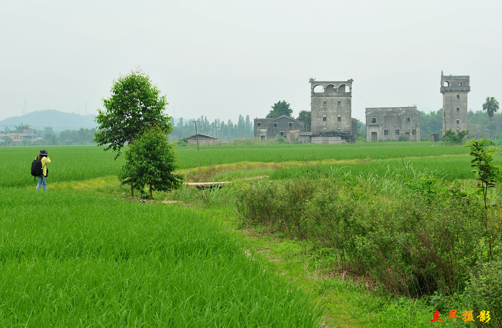 DSC_3502.JPG