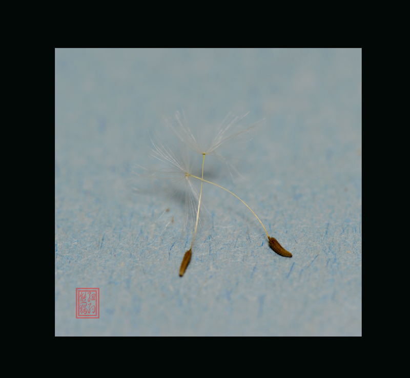 δ-62.jpg